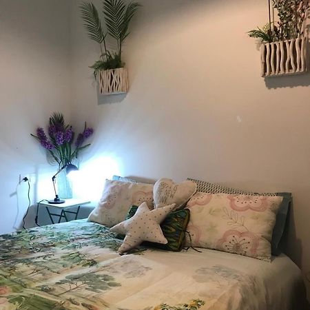Casa Jardin Apartment Логроньо Екстериор снимка